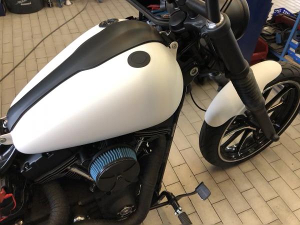 Frontfender Harley für 130-140er Softail Slim FatBoy Heritage Sporster Custom